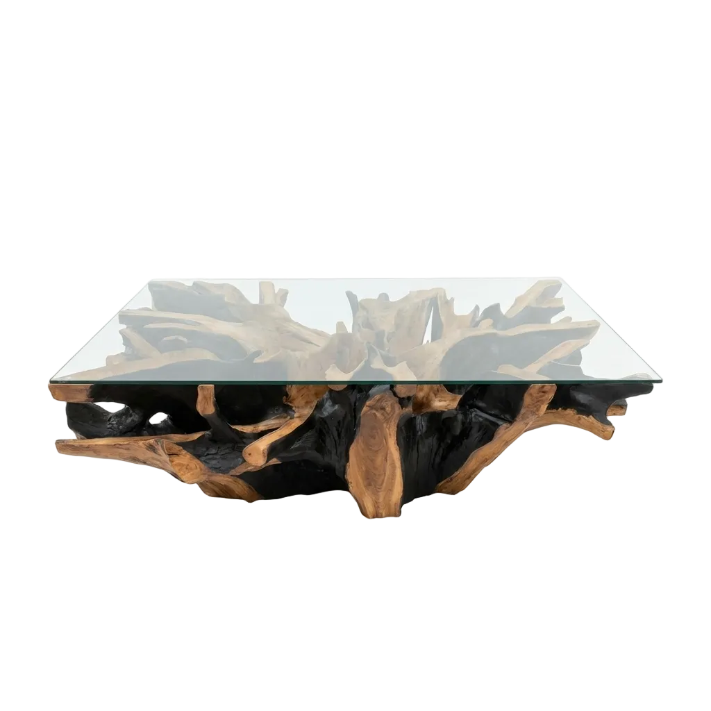 Glass coffee table with natural wood base